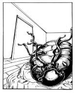 MORPHOMETESIS by Michael Allen Rose