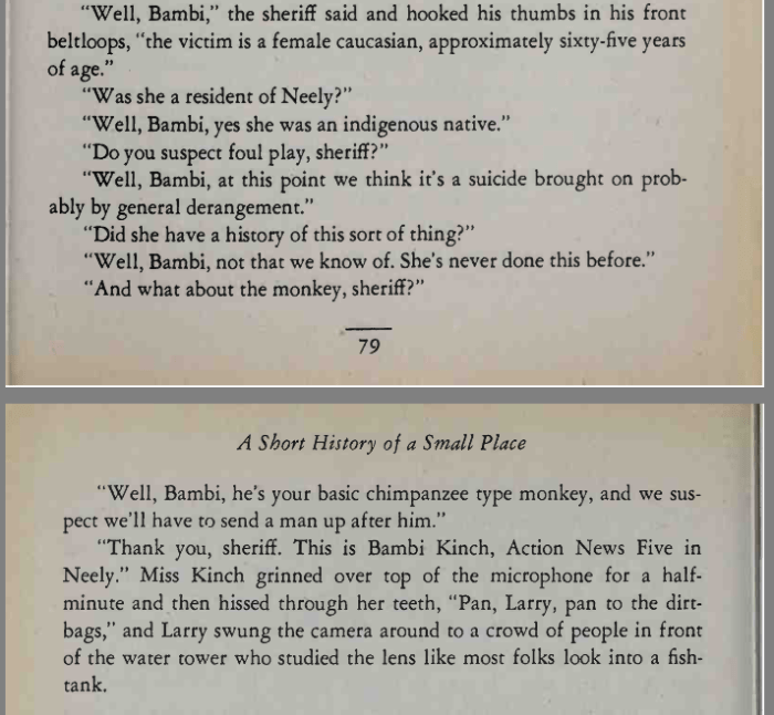 A Short History of a Small Place by T.R. Pearson