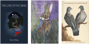 Ad Hoc Fiction Submissions