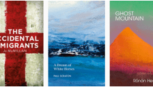 Bluemoose Books Submissions