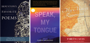 Calypso Editions Submissions
