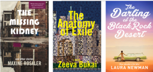 Delphinium Books Submissions